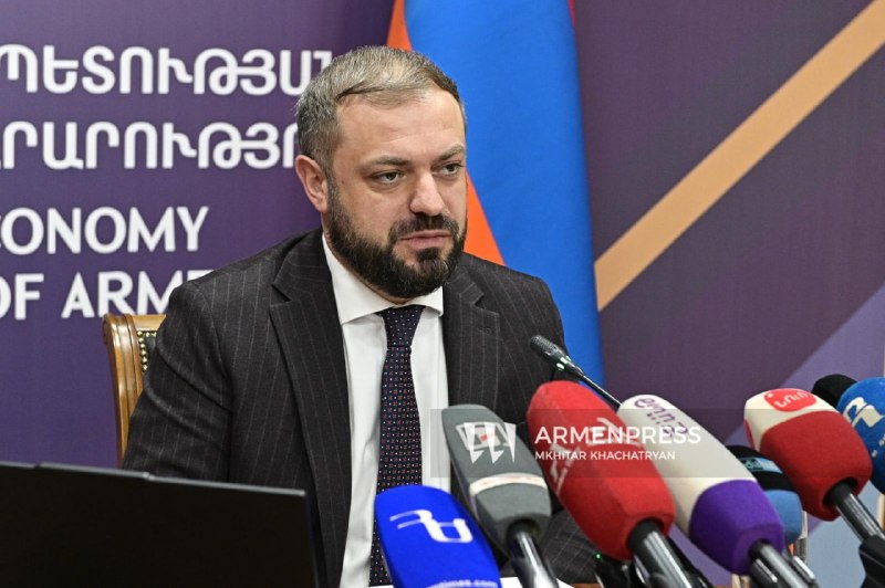 Лилит Шабоян, пресс-секретарь министра экономики Армении, опровергает информацию о письме Геворга Папояна Антону Алиханову