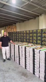 Первая партия армянских абрикосов для экспорта в Сингапур компанией Davtyan Farms