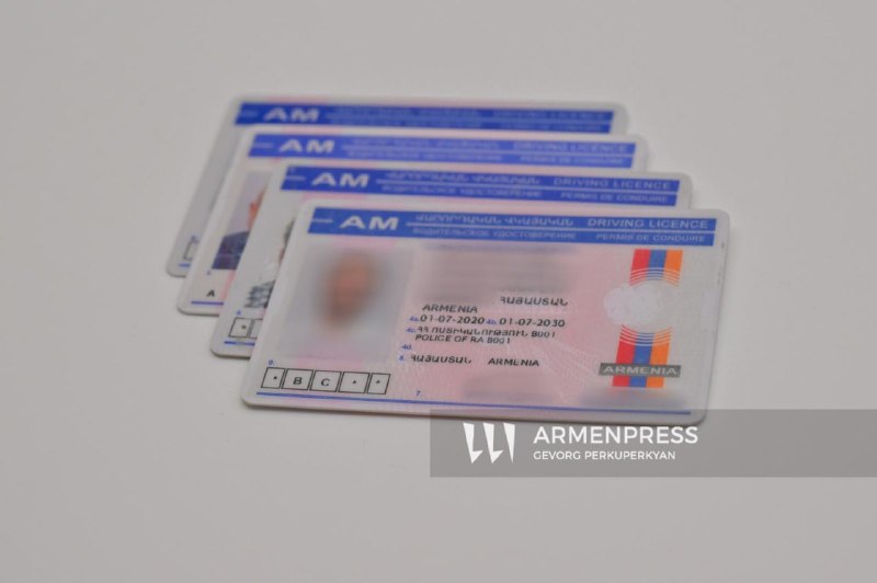 Заседание правительства Армении, министр Арпине Саргсян выступает с предложением об изменении сроков экзамена на права