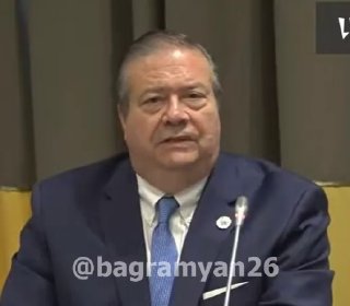 Пресс-конференция наблюдательной миссии IRI в Ереване, Аджапняк