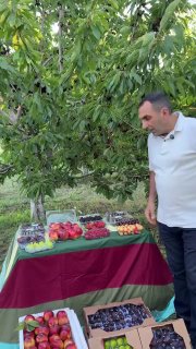 Первая партия армянских фруктов отправляется в ОАЭ из Аджапняка, Ереван