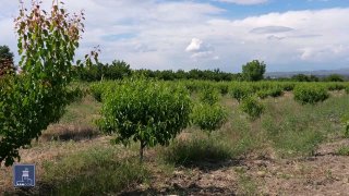 Обсуждение программы субсидирования кредитов в Аджапняке, Ереван